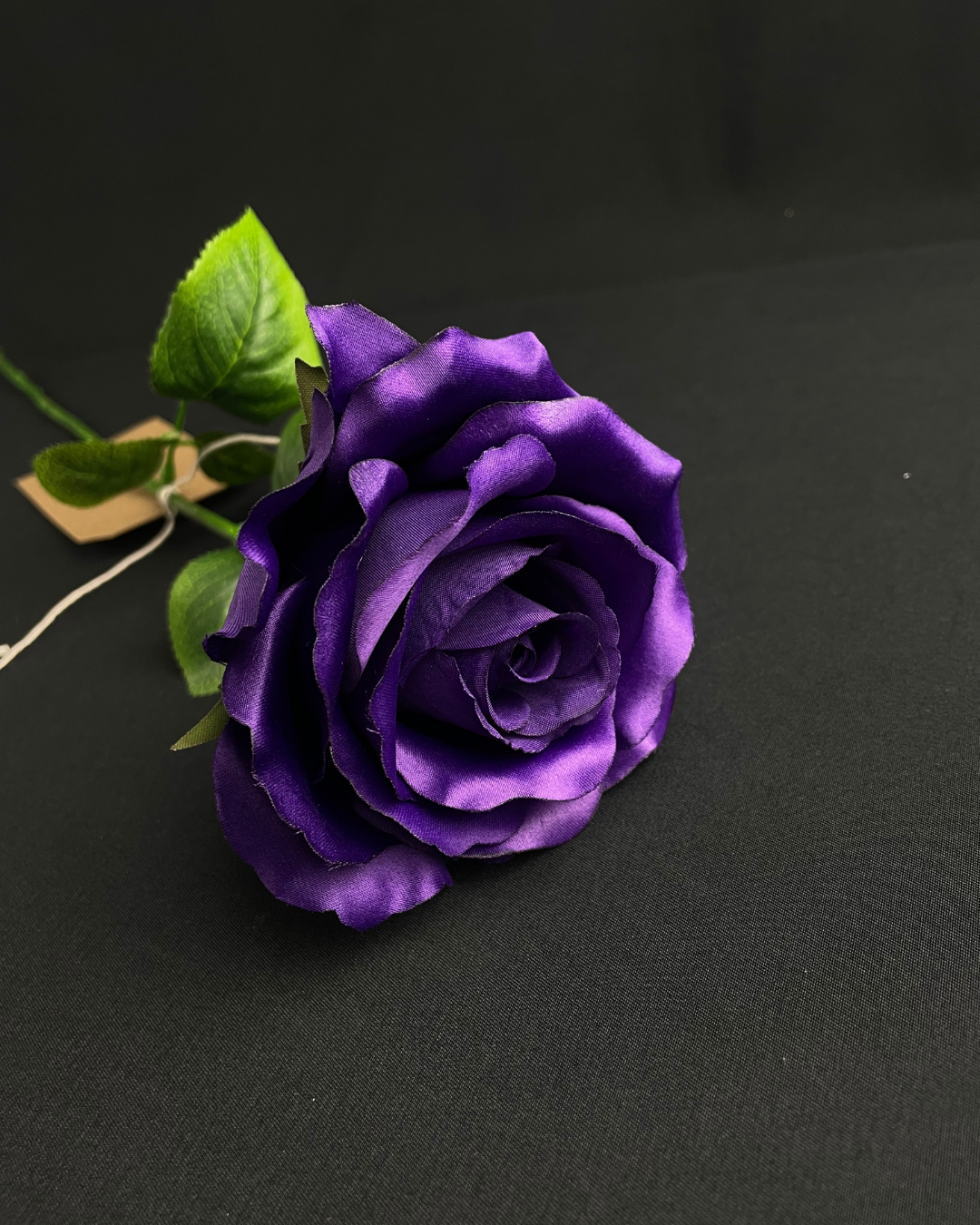 Elegance Rose - Purple