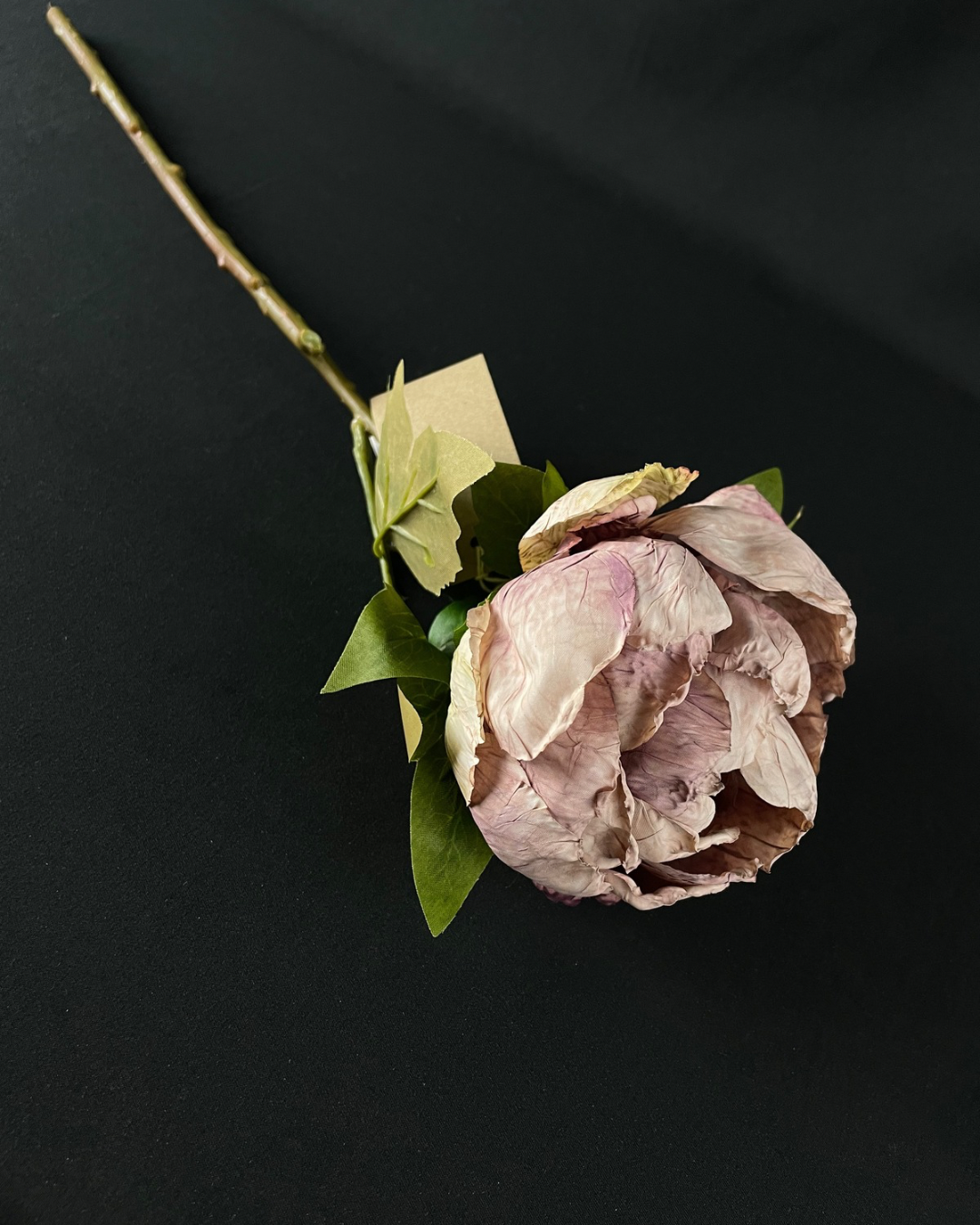 Silk Dried-touch Peony