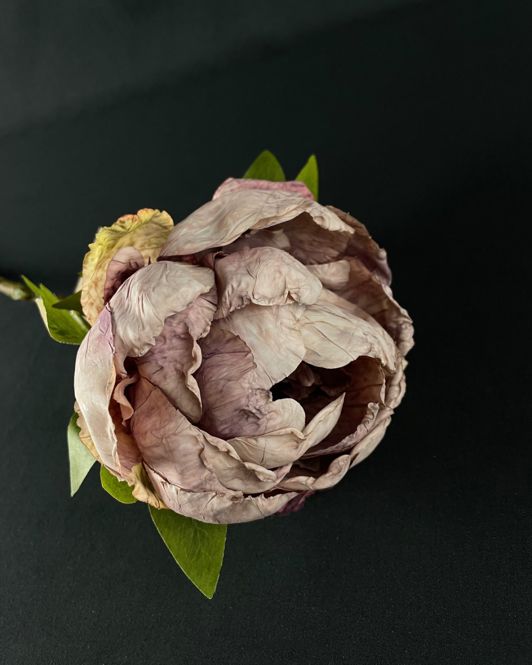 Silk Dried-touch Peony