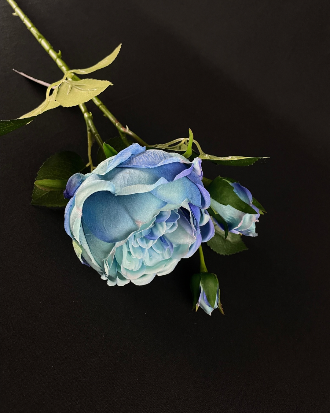 Silk Peony Blue