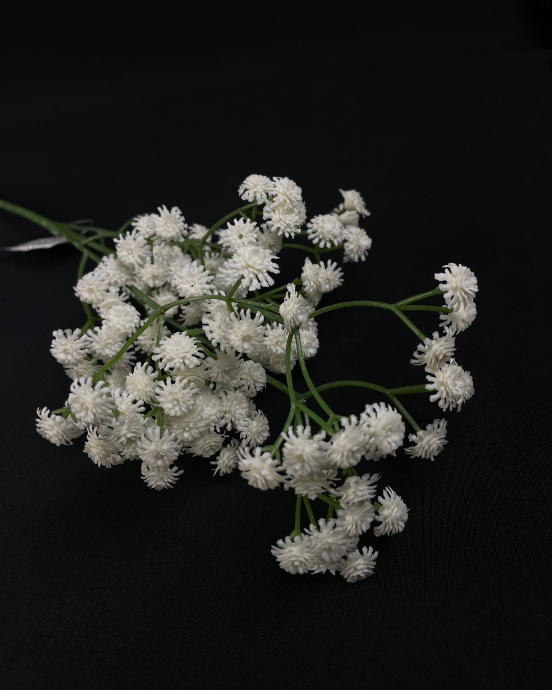 Silk Gypsophila