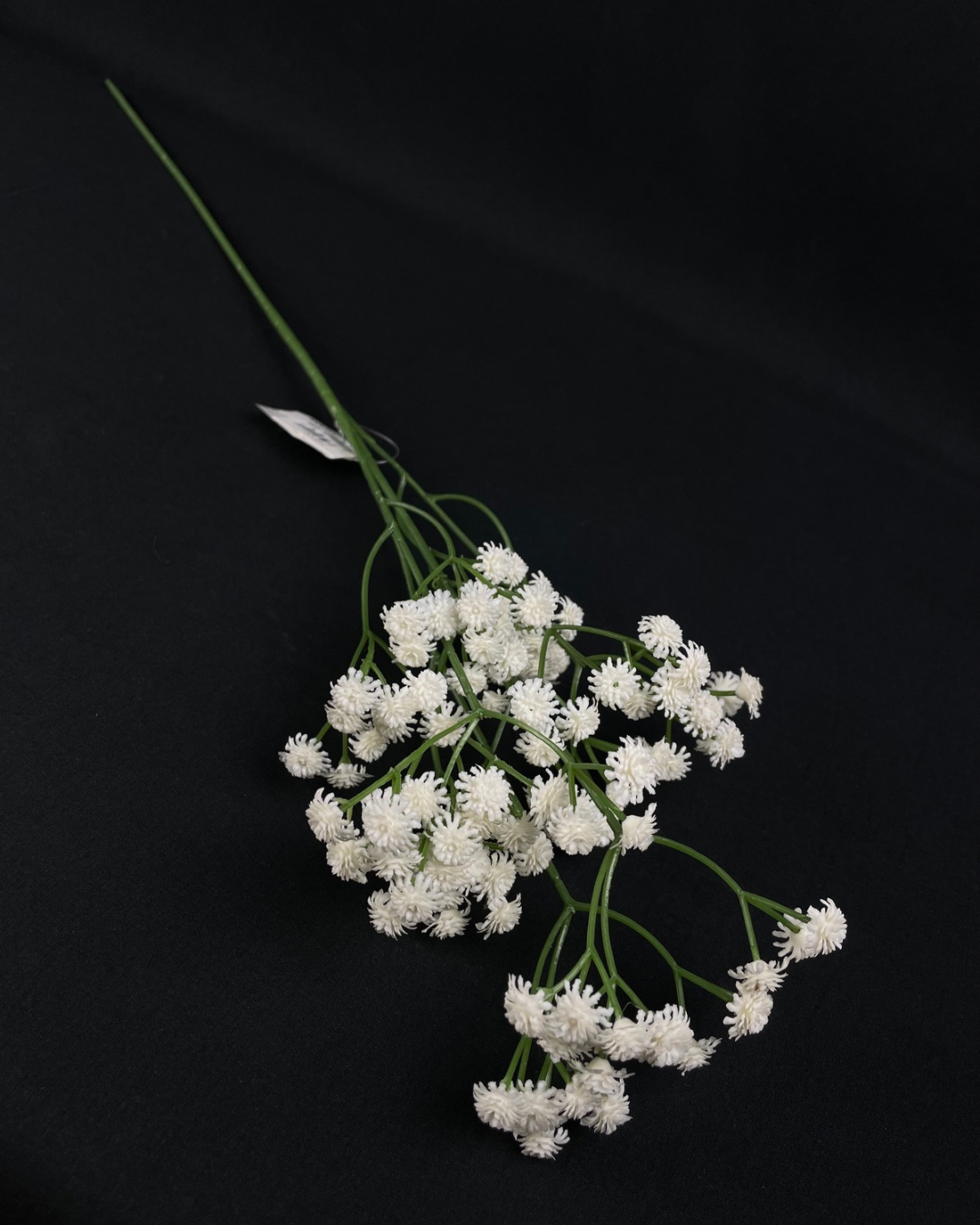 Silk Gypsophila