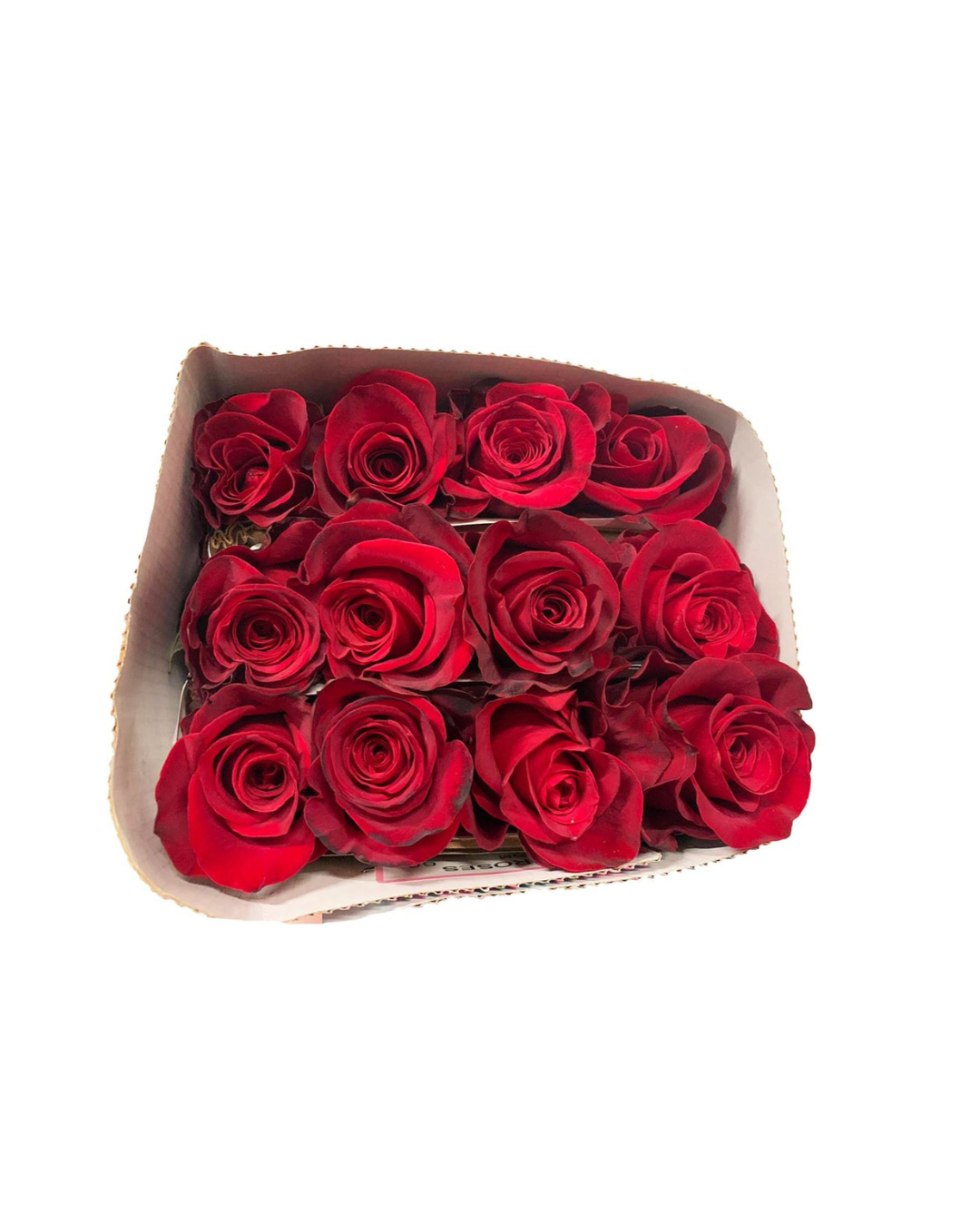 Ecuadorean Freedom (Valentine's Roses) AVAILABLE FROM 3RD FEBRUARY