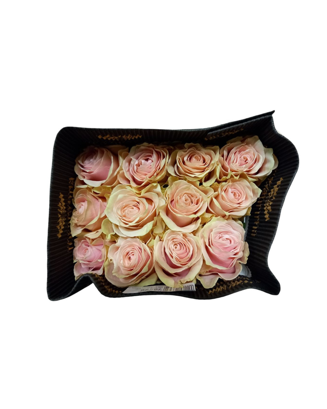 Pink Mondial - (Valentine's Roses) AVAILABLE FROM 3RD FEBRUARY