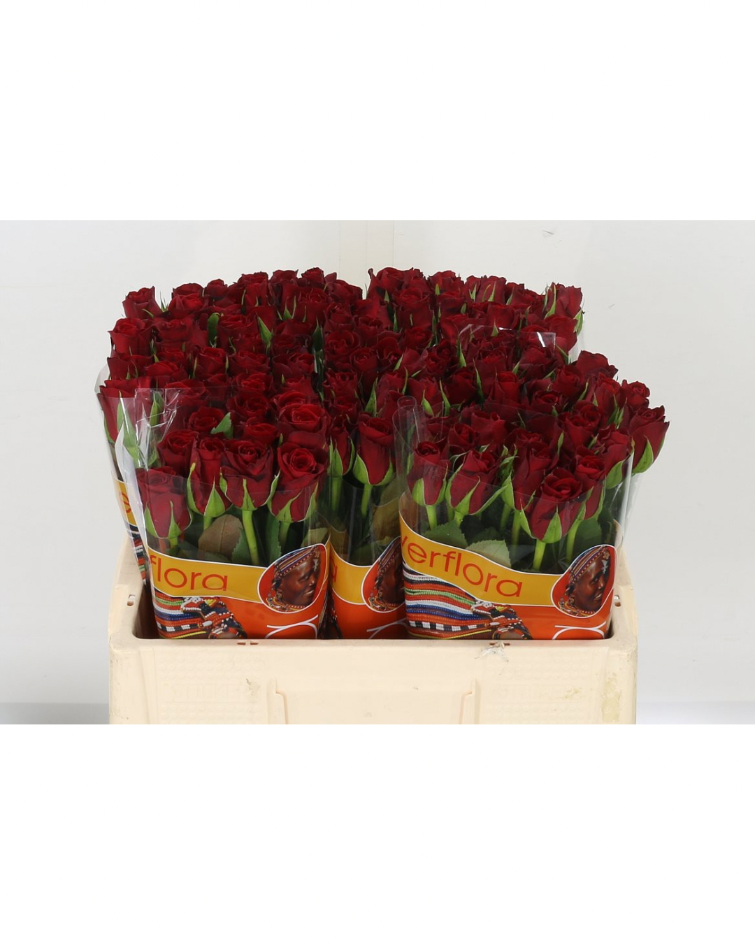 Furiosa/Red Ribbon - (Valentine's Roses) AVAILABLE FROM 3RD FEBRUARY