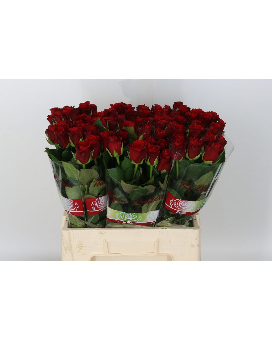 Furiosa/Red Ribbon - (Valentine's Roses) AVAILABLE FROM 3RD FEBRUARY