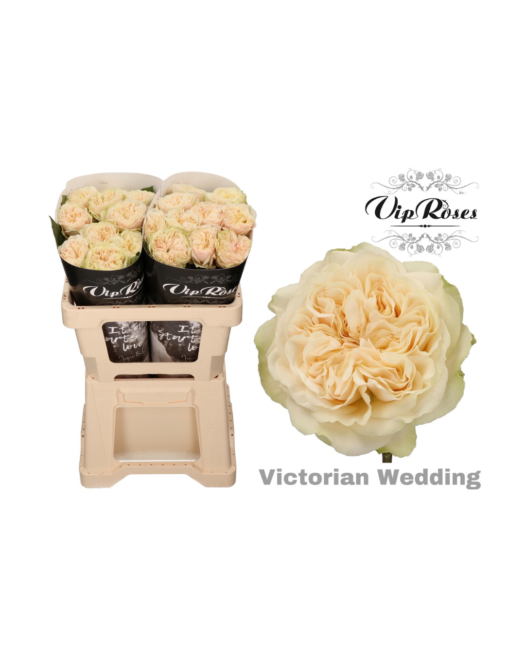 Rose Victorian Wedding (VIP)