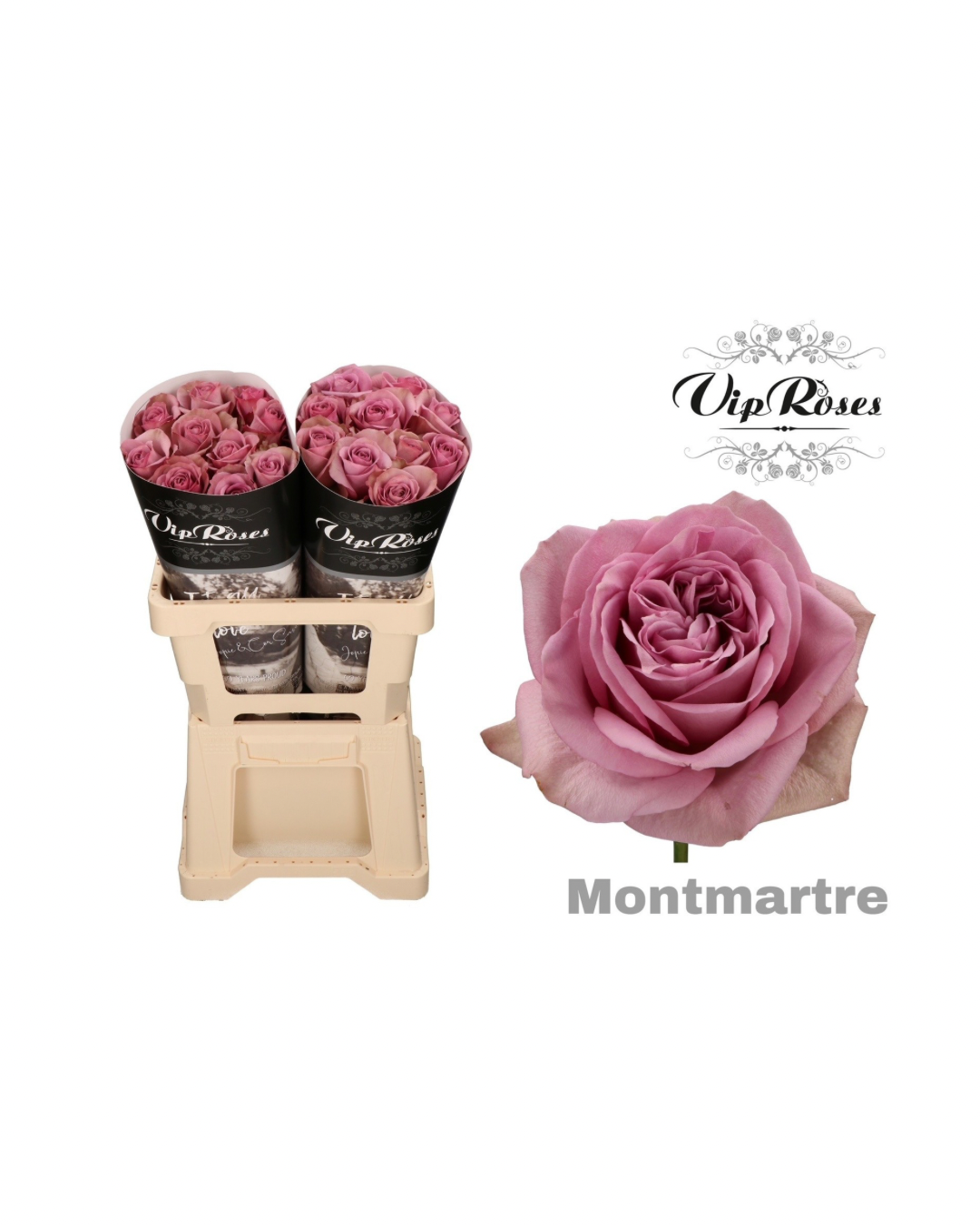 Rose Montmartre (VIP