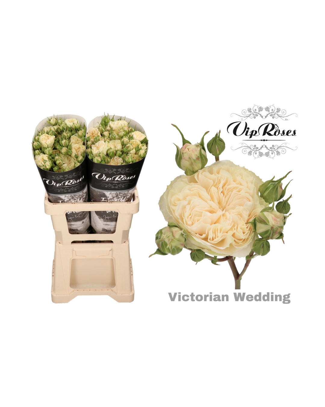 Spray Rose Victorian Wedding (VIP)