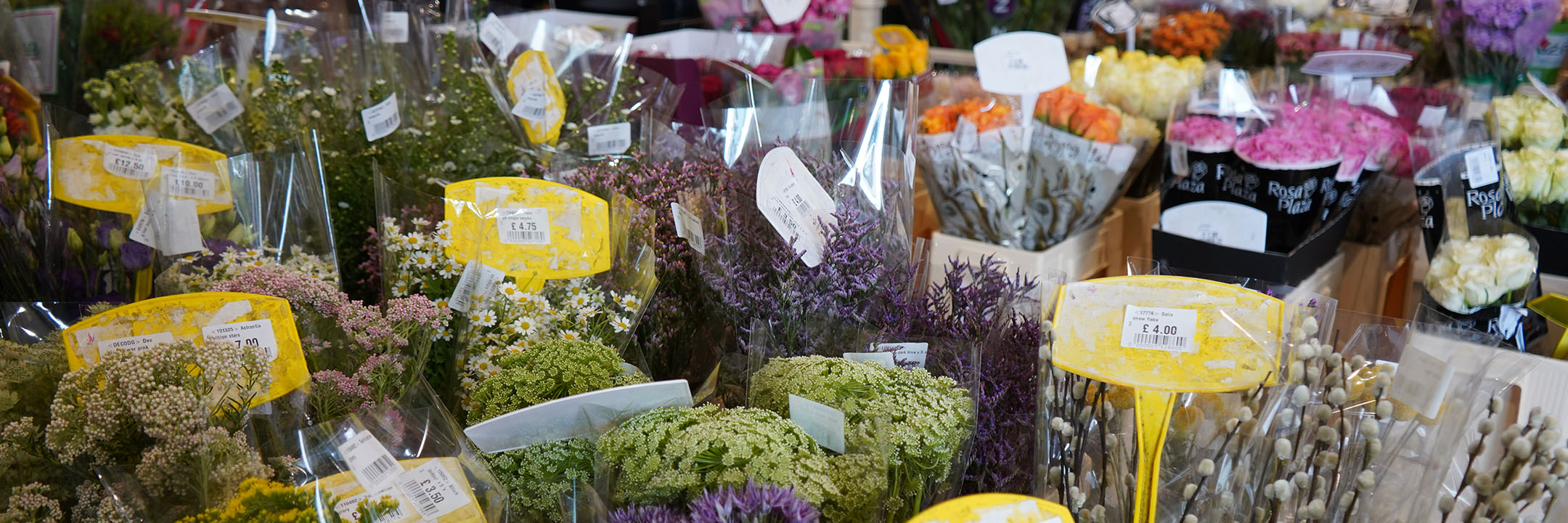 Dry Floral Foam Cone 60cm  Wholesale Dutch Flowers & Florist Supplies UK